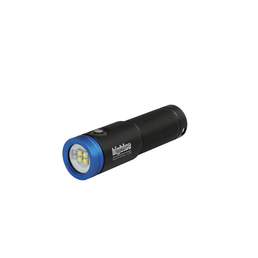 Bigblue Black Molly VIIB AL2900