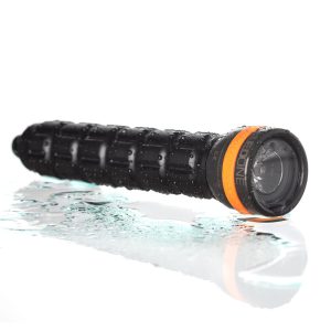 Ammonite LED One
