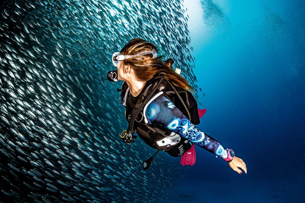 Dive Guide