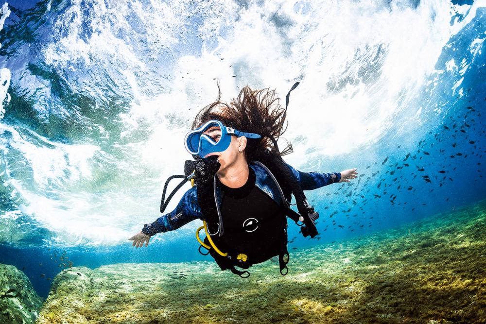 Beginner – Fin Divers