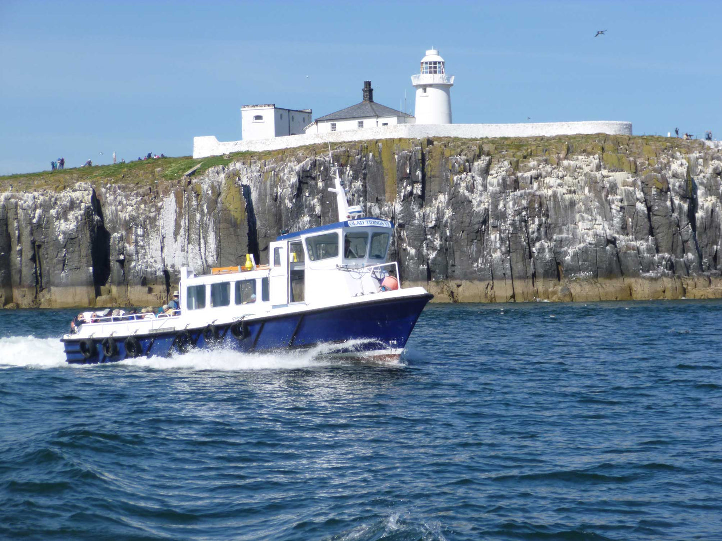 Farne Island Trip - 30th August 2024