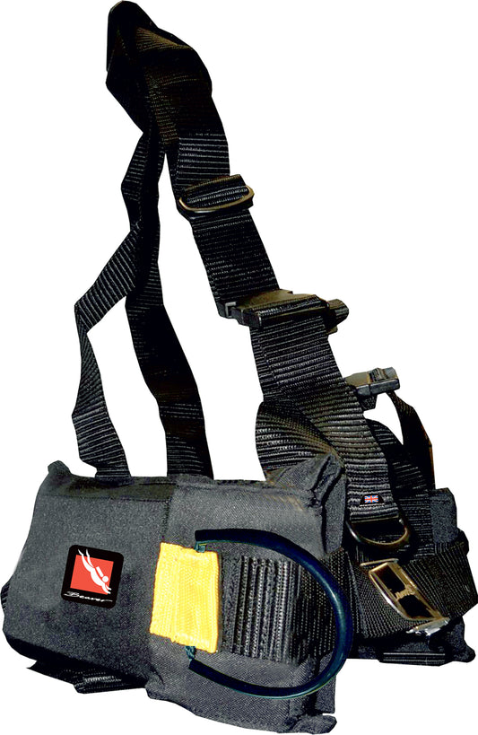 Tech Weight Harness Including Buckle