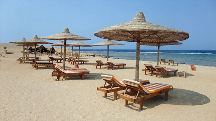 Club Trip to Roots Camp, Egypt June 2026
