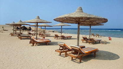 Club Trip to Roots Camp, Egypt June 2026
