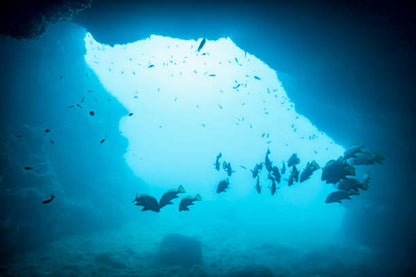 Medes Islands Dive Trip – Spain